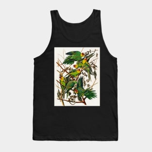 Bird of America  Bird, bird lover, america, beautiful  Public domain painting by John James Audubon Tank Top